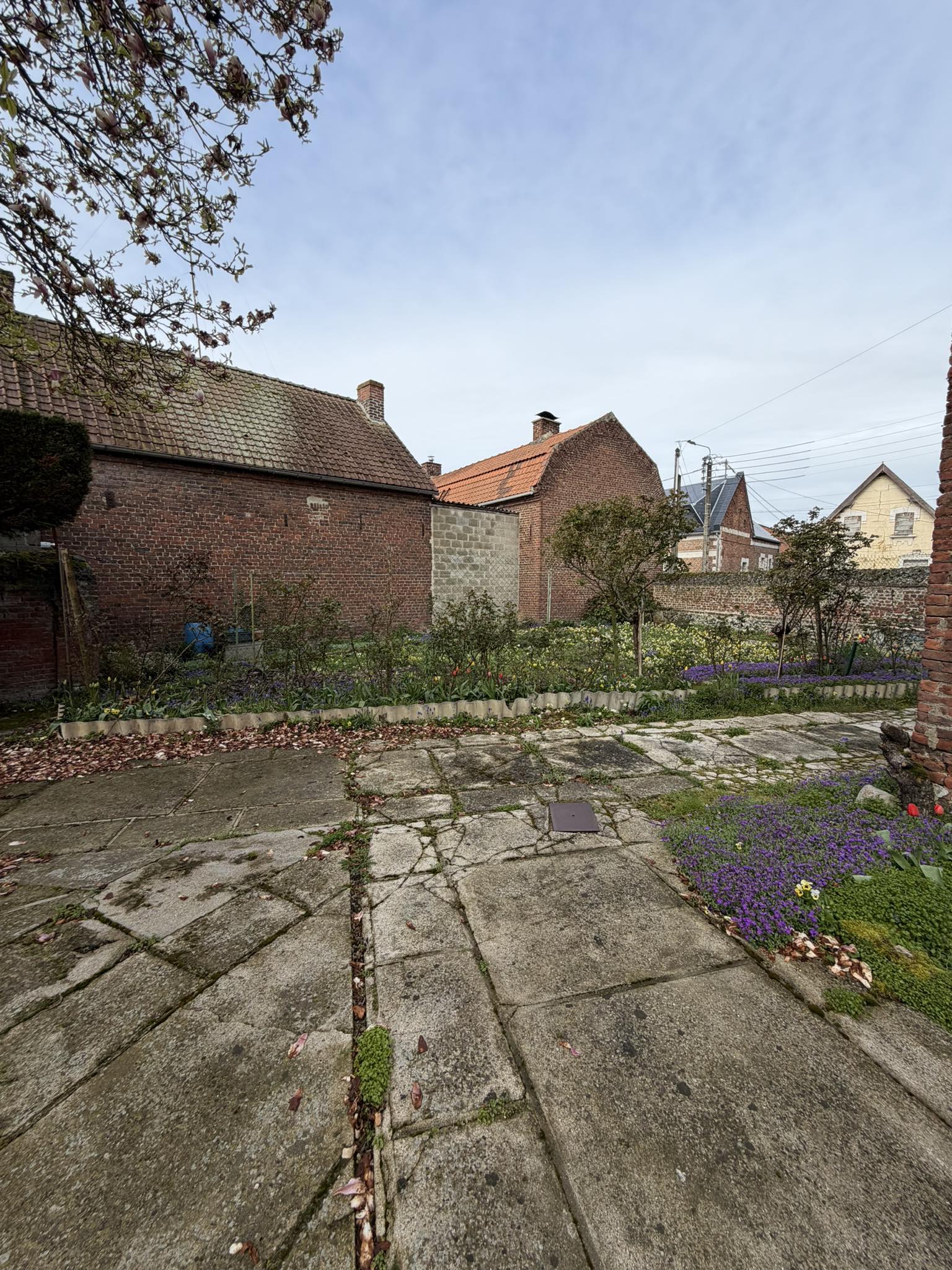 679565633_1008254528201884_4552012009926613327_n