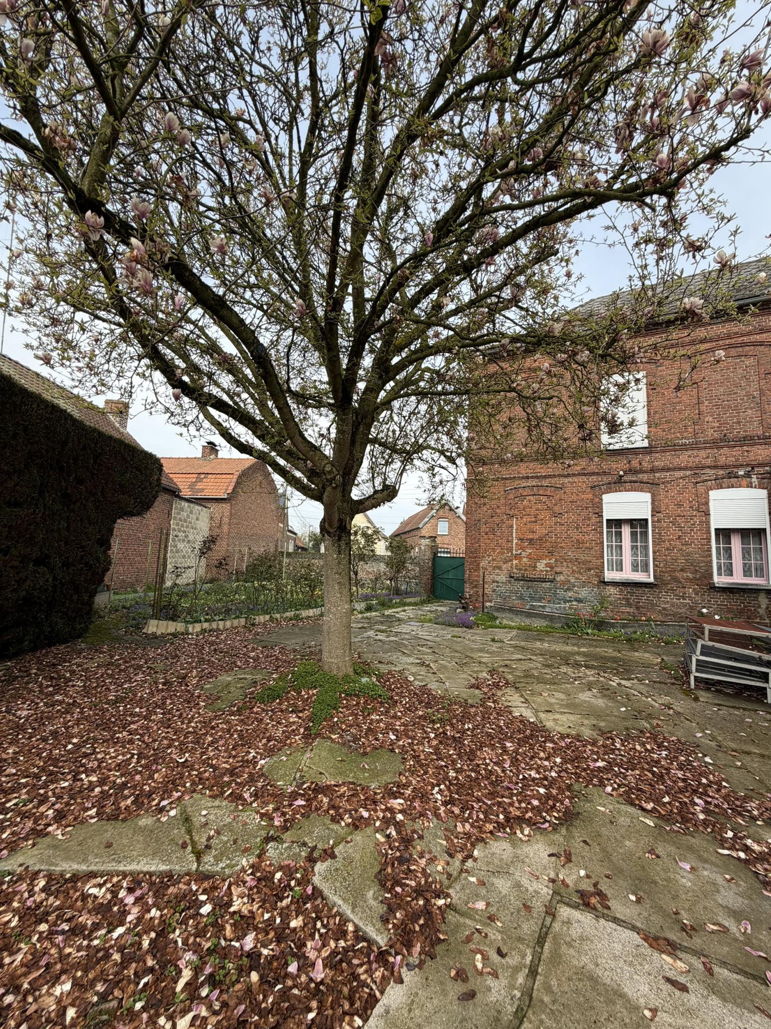 680273838_1008254678201869_5099744895807791256_n